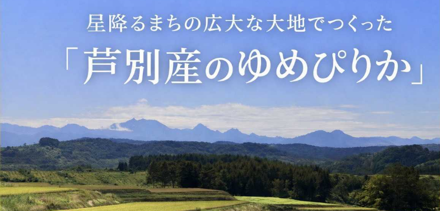 芦別産のゆめぴりか
